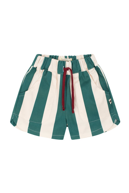 Big Brick Road Shorts in forest green